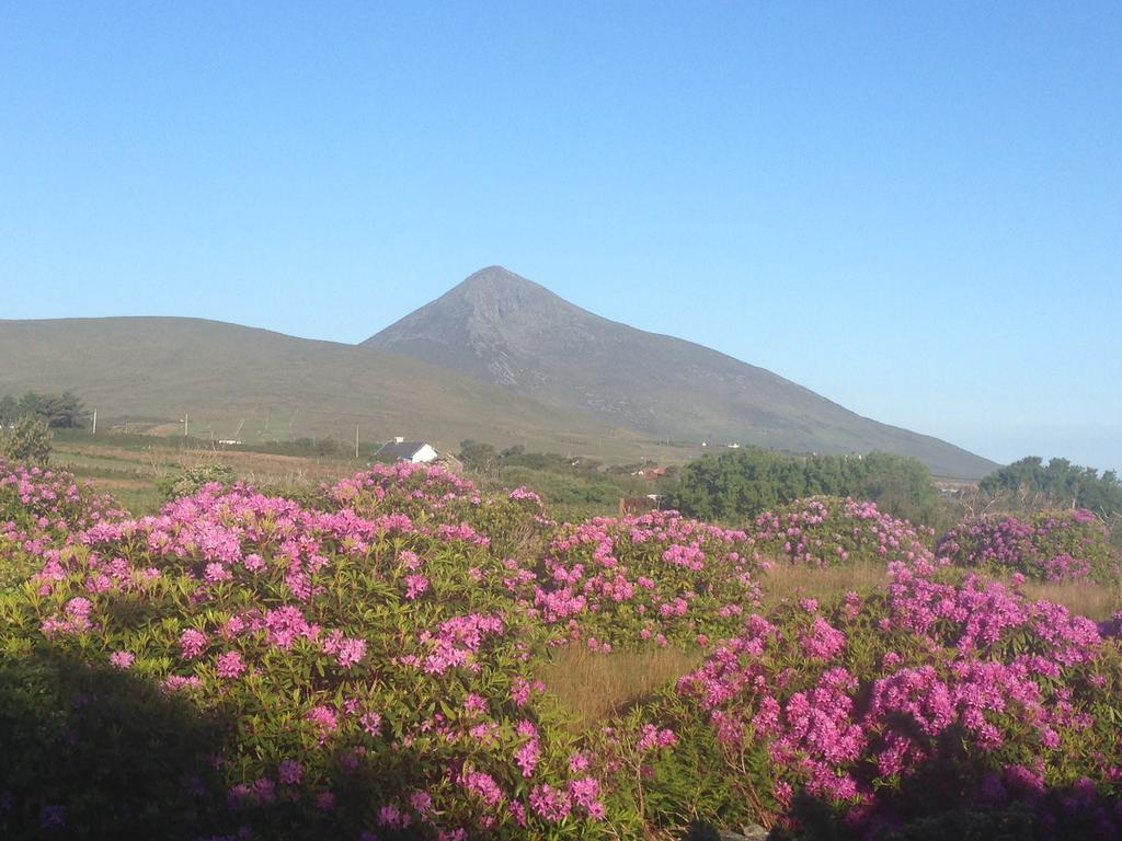 Bed and Breakfast Achill Water'S Edge Doogort Екстер'єр фото